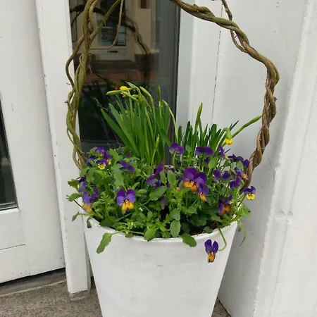 酒店 卡恩酒店 3*